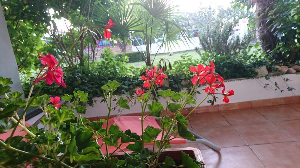 Apartment Devcic Porec Bagian luar foto